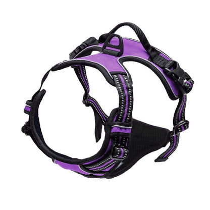 Adjustable Polyester Dog Harness with Leash – Multiple Colors