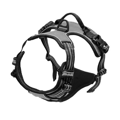 Adjustable Polyester Dog Harness with Leash – Multiple Colors