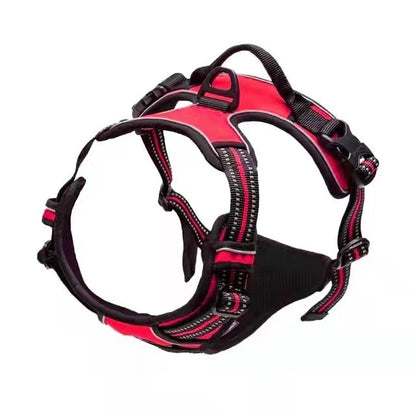 Adjustable Polyester Dog Harness with Leash – Multiple Colors