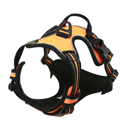 Adjustable Polyester Dog Harness with Leash – Multiple Colors