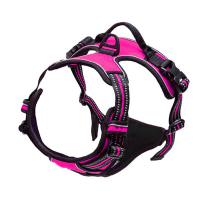 Adjustable Polyester Dog Harness with Leash – Multiple Colors